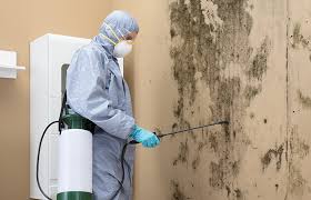 Best HVAC Mold Inspection and Cleaning  in Ephrata, WA